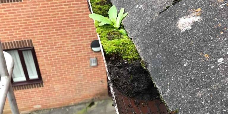 keeping-your-gutter-clean