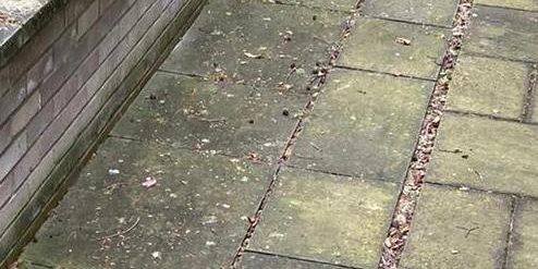Driveway patio clean