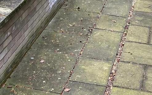 Driveway patio clean