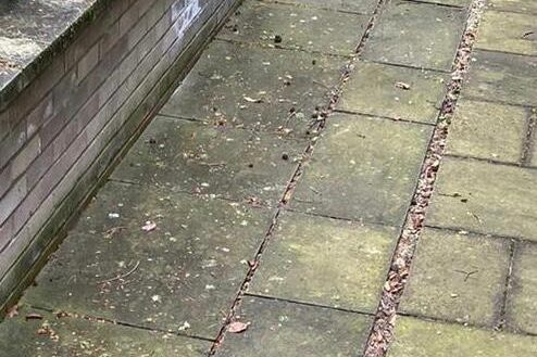 Driveway patio clean