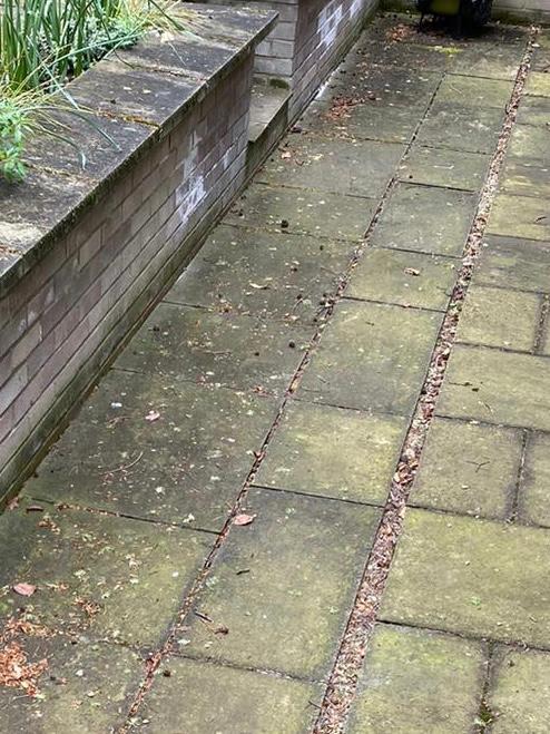 Driveway patio clean