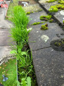 Gutter clearing by Alfresco Exterior Cleaning