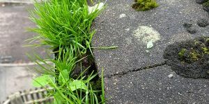Gutter clearing by Alfresco Exterior Cleaning