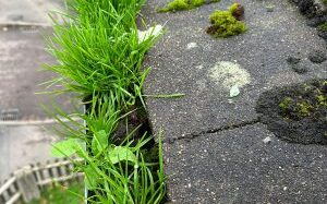 Gutter clearing by Alfresco Exterior Cleaning