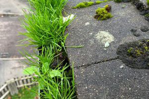 Gutter clearing by Alfresco Exterior Cleaning