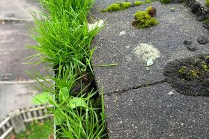 Gutter clearing by Alfresco Exterior Cleaning