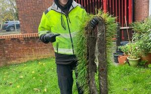 Gutter clearing - Gutter cleaning in Abingdon, Oxfordshire