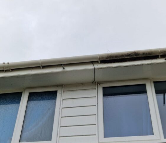 soffits-fascia-boards-cleaning-services-abingdon/