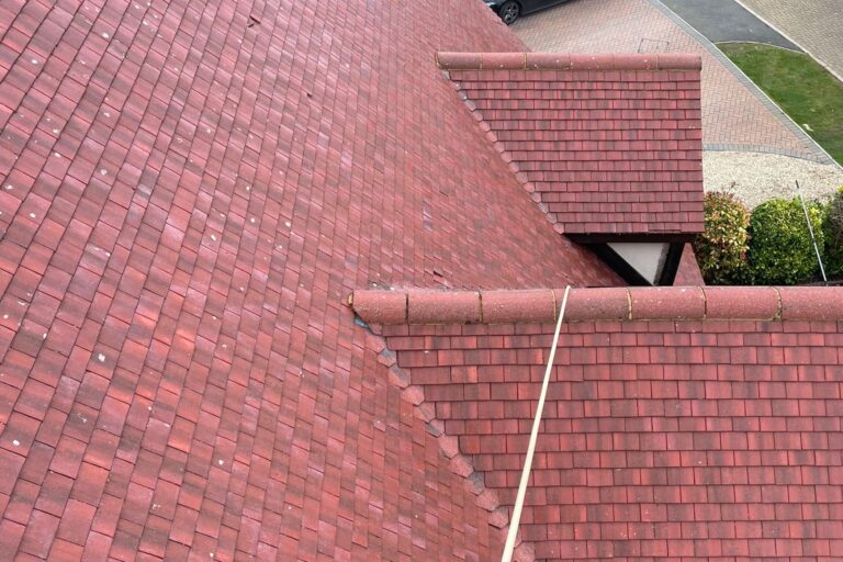 Roof Before - Moss removal from roof