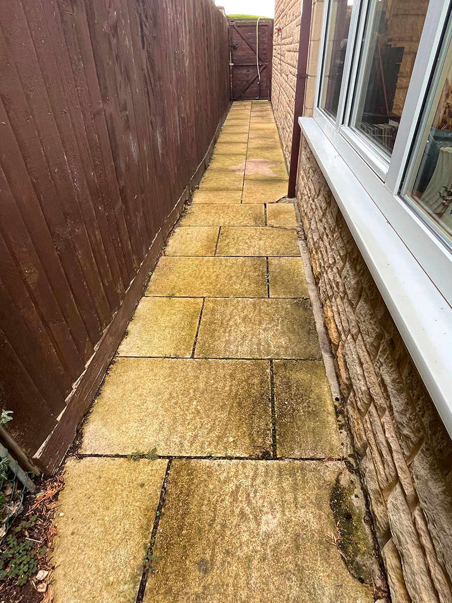Patio Cleaning: Pathway Before