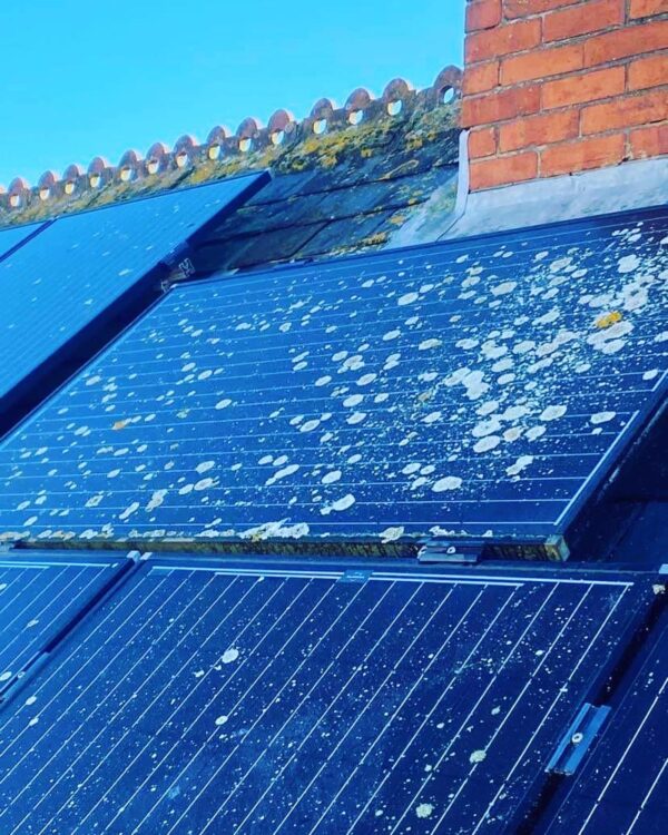 Solar Panels covered in Lichen Solar Panel Cleaning Oxfordshire - Cleaning roof-mounted solar panels can increase solar yield by up to 14%