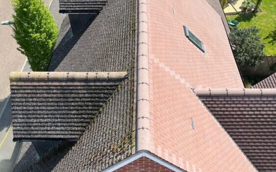 Roof cleaning before and after