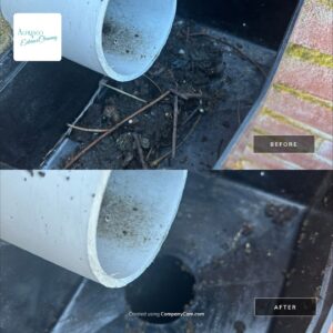 Before and After - Reactive Gutter Cleaning: A Fast Fix for Overflowing Hoppers