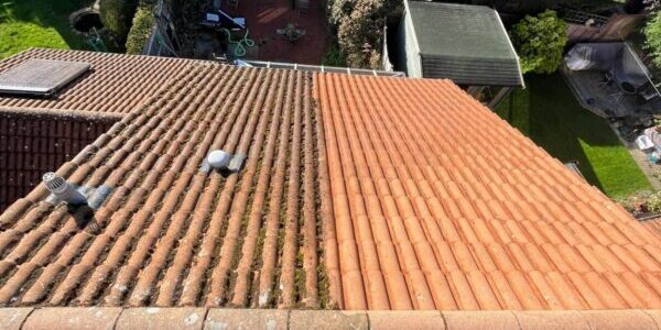 Alfresco roof cleaning
