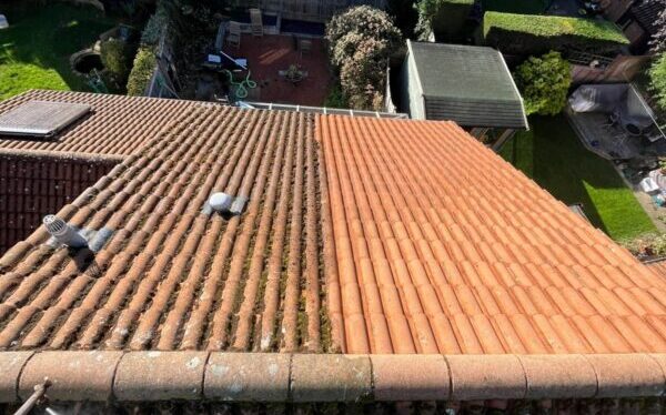 Alfresco roof cleaning