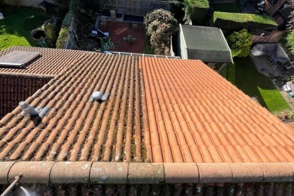 Alfresco roof cleaning