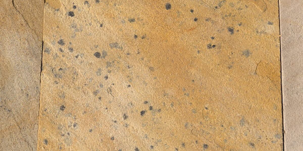 Black Spot Remover